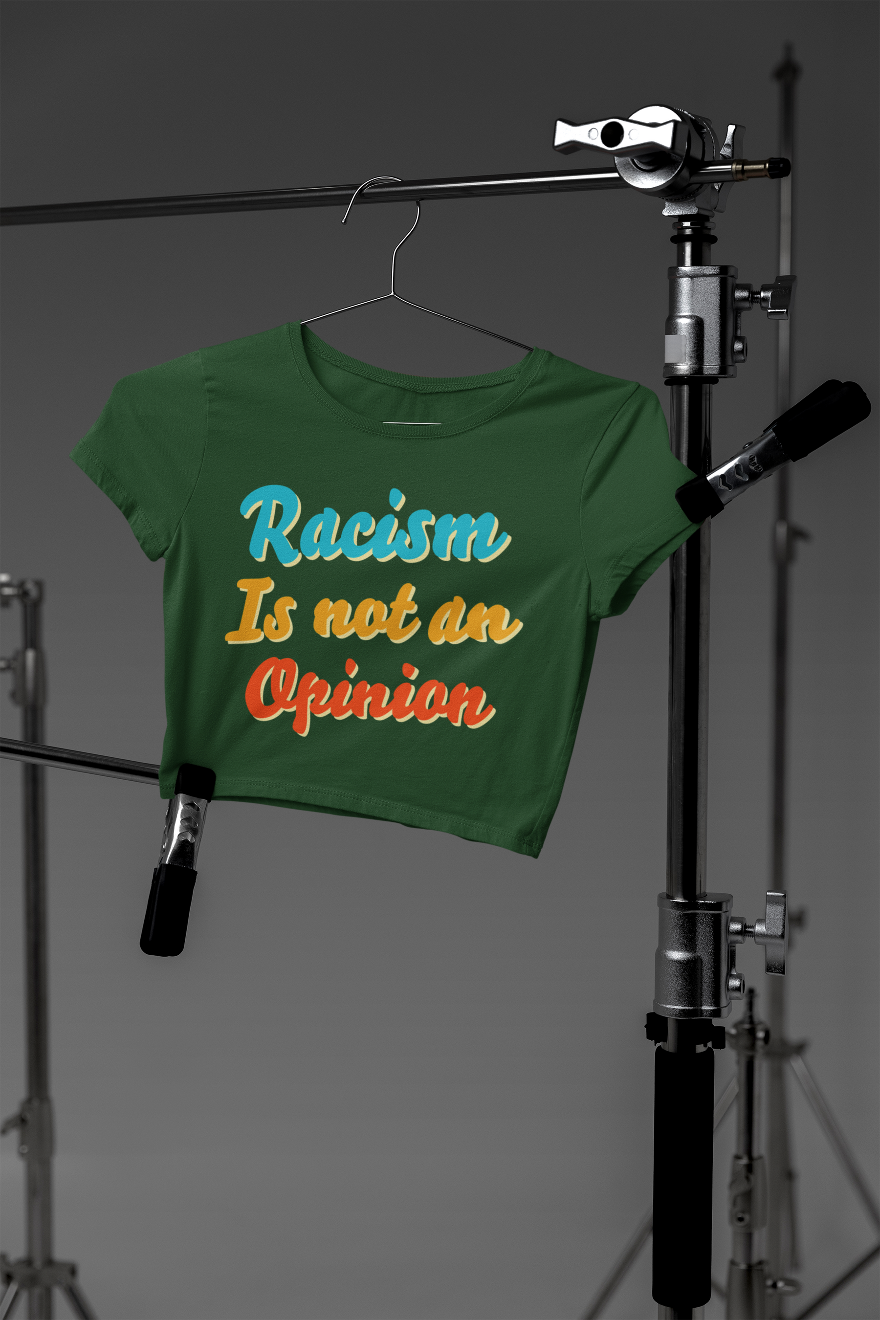 🌈 “Racism Is Not an Opinion” DTF Transfer FT580