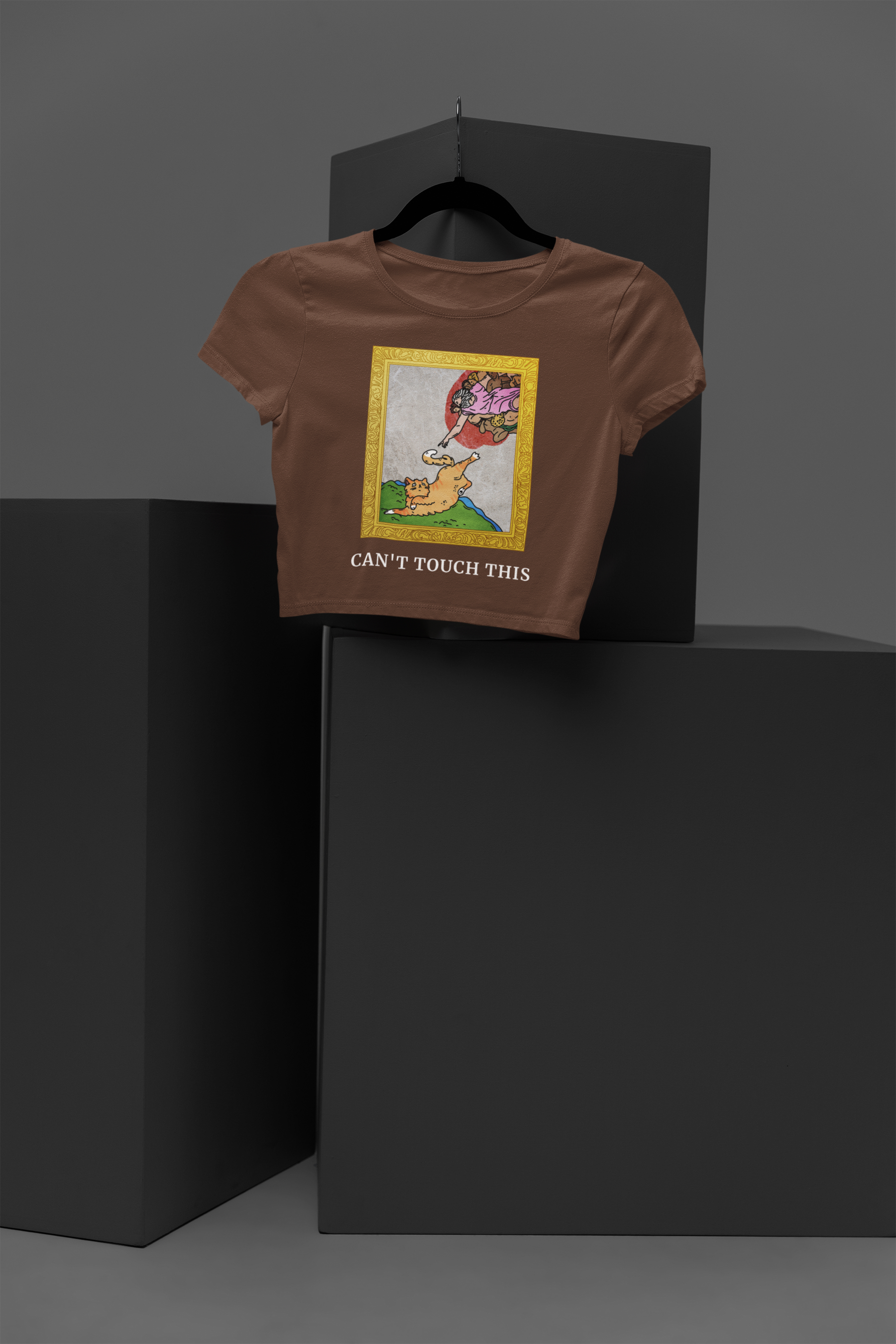 🐱 “Can’t Touch This” Cat Art Parody Design DTF Transfer FT427