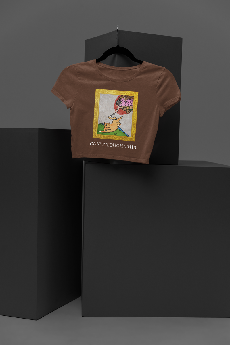 🐱 “Can’t Touch This” Cat Art Parody Design DTF Transfer FT427
