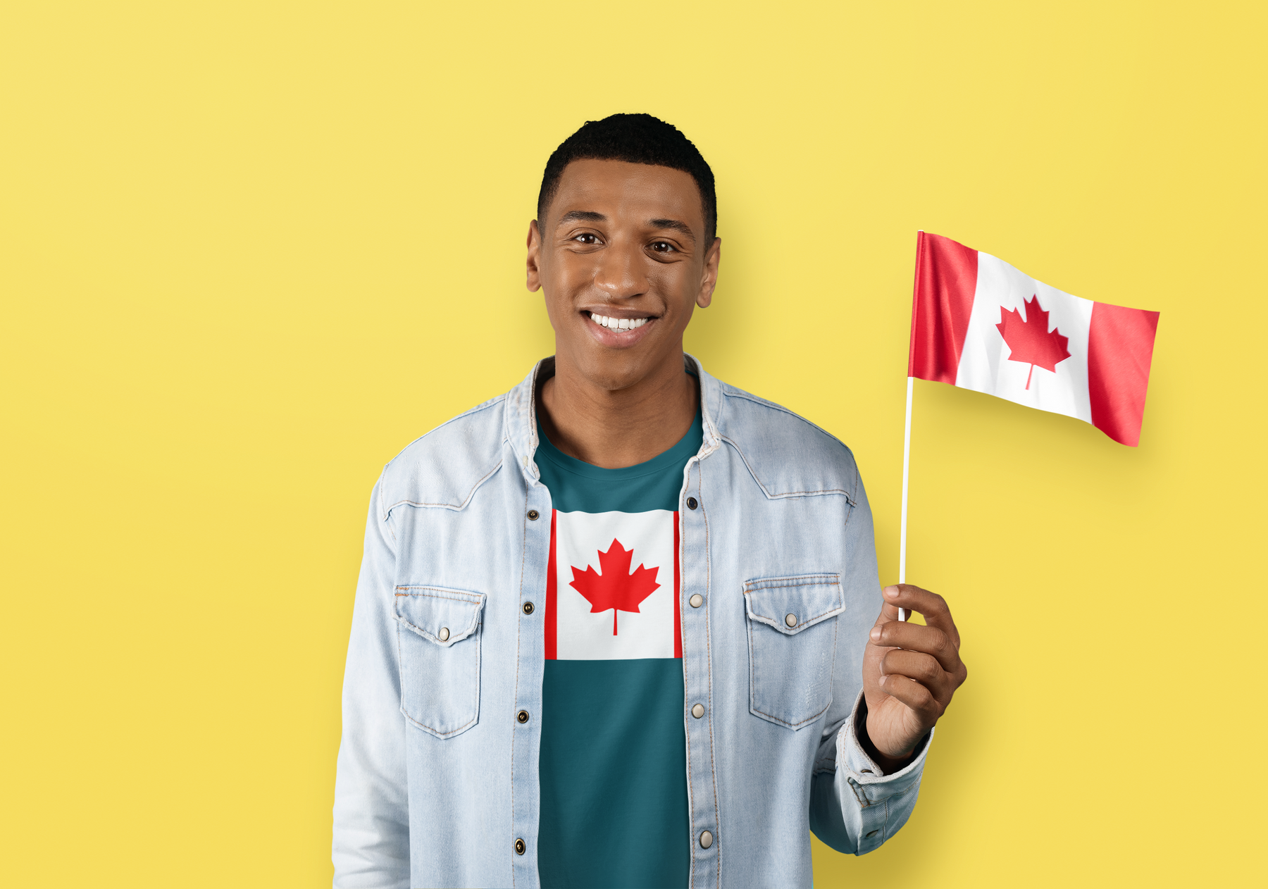 Canada Flag FT27